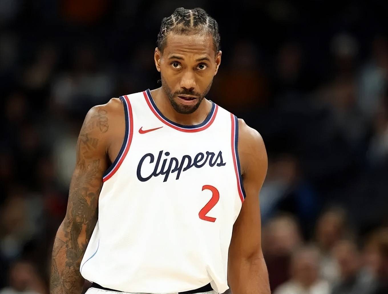 提供了清晰 提供了清晰